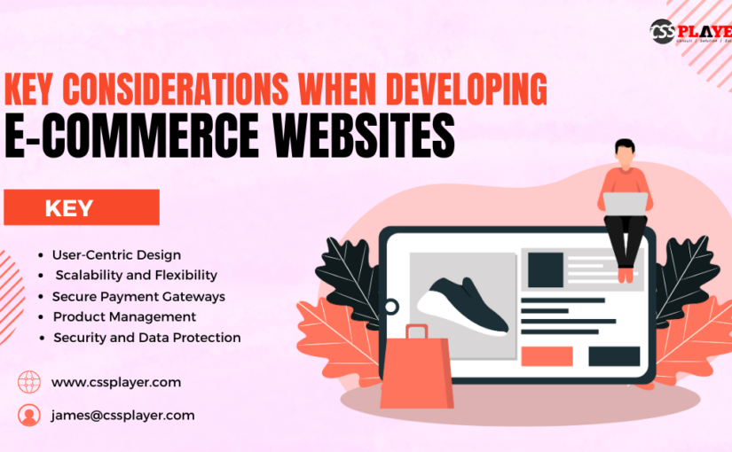 E-Commerce Websites